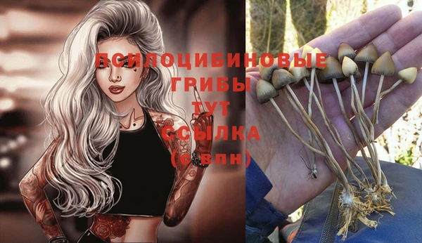 первитин Богданович