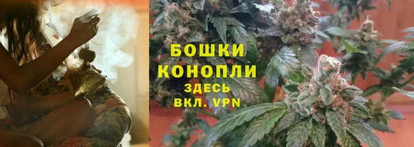 первитин Богданович